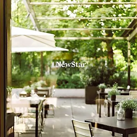 Newstar 3*